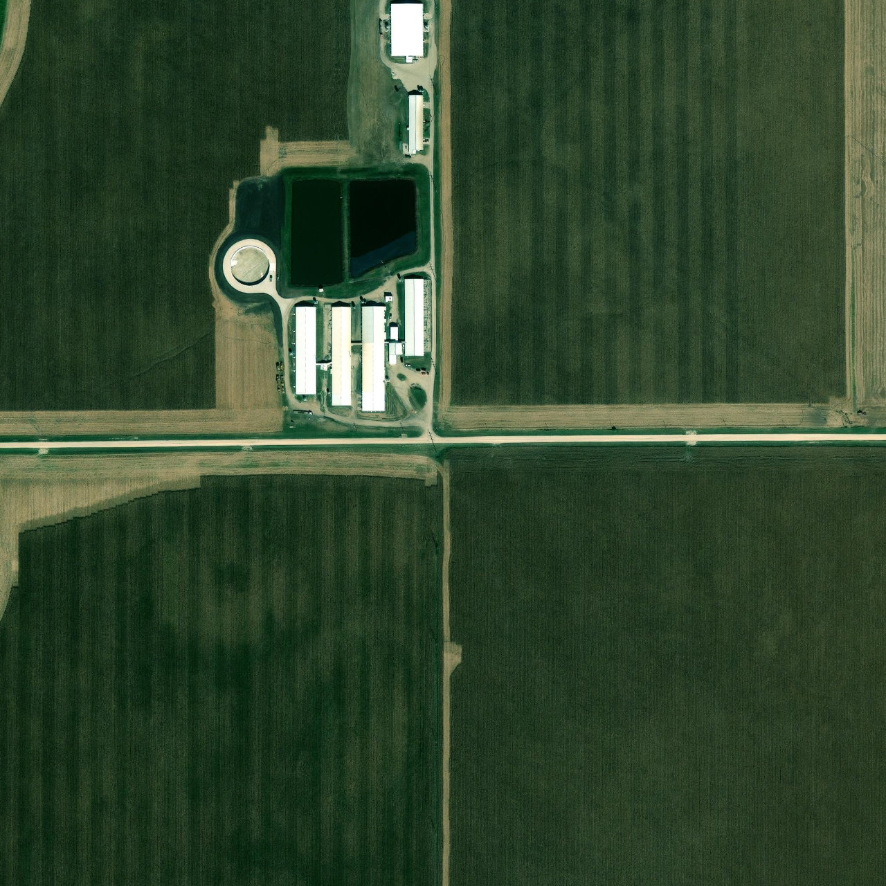 Aerial view of open farmland along NW McGirr Road in Hinckley, DeKalb County, Illinois